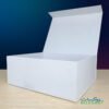 Magnetic Gift Box Half Front Flap White Color Open Without Plant