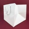 Best Quality Paper Bags - 24.5W x 25H x 24.5G cm - 10 pcs Pack 2 gift paper bag and paper bags supplier in UAE