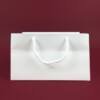 Best Quality Paper Bags - 22W x 13H x 16G cm - 10 pcs Pack 1 reliable, eco-friendly white paper bags bulk , paper bag printing in uae